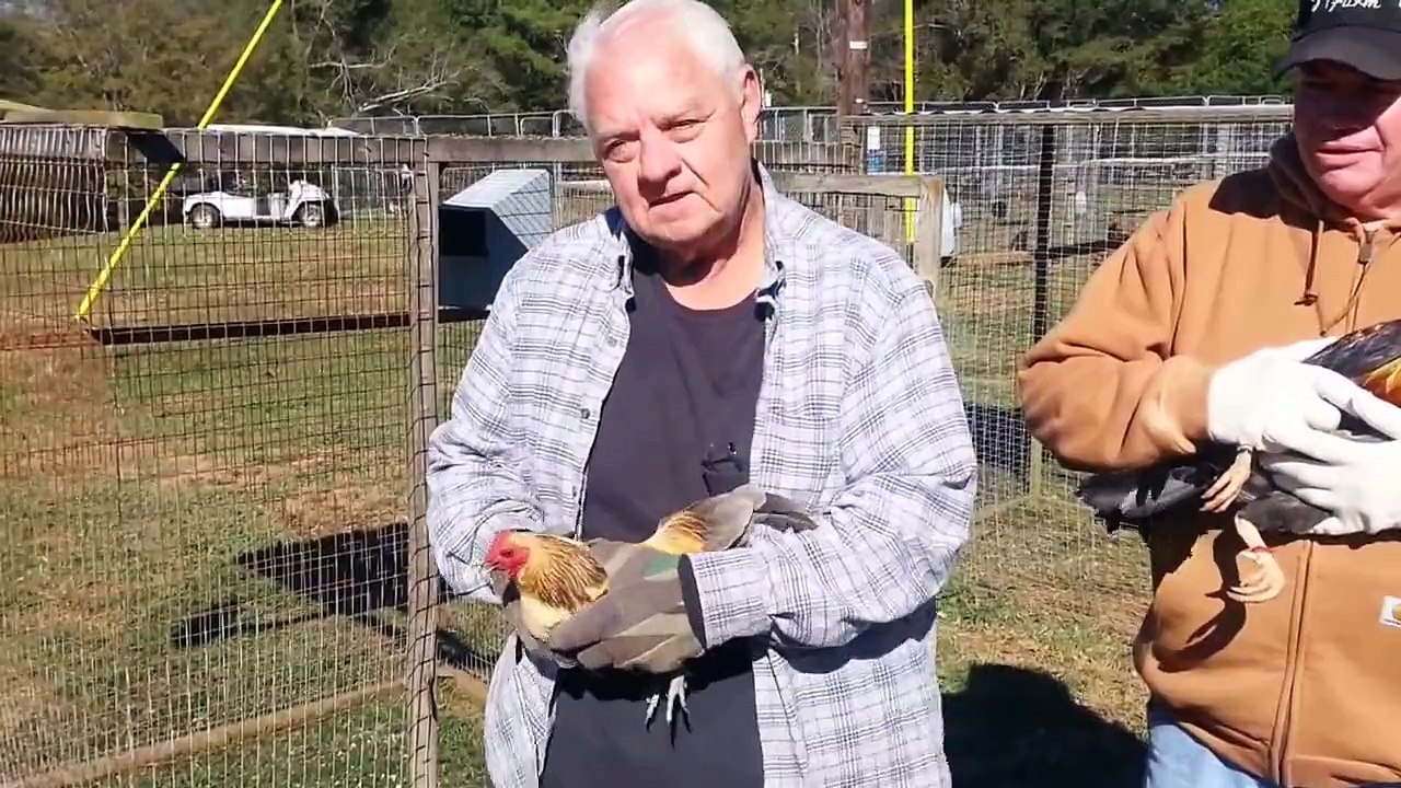 Bruce Barnett "Pure Pretty Boy Golden Sweater"  LOL