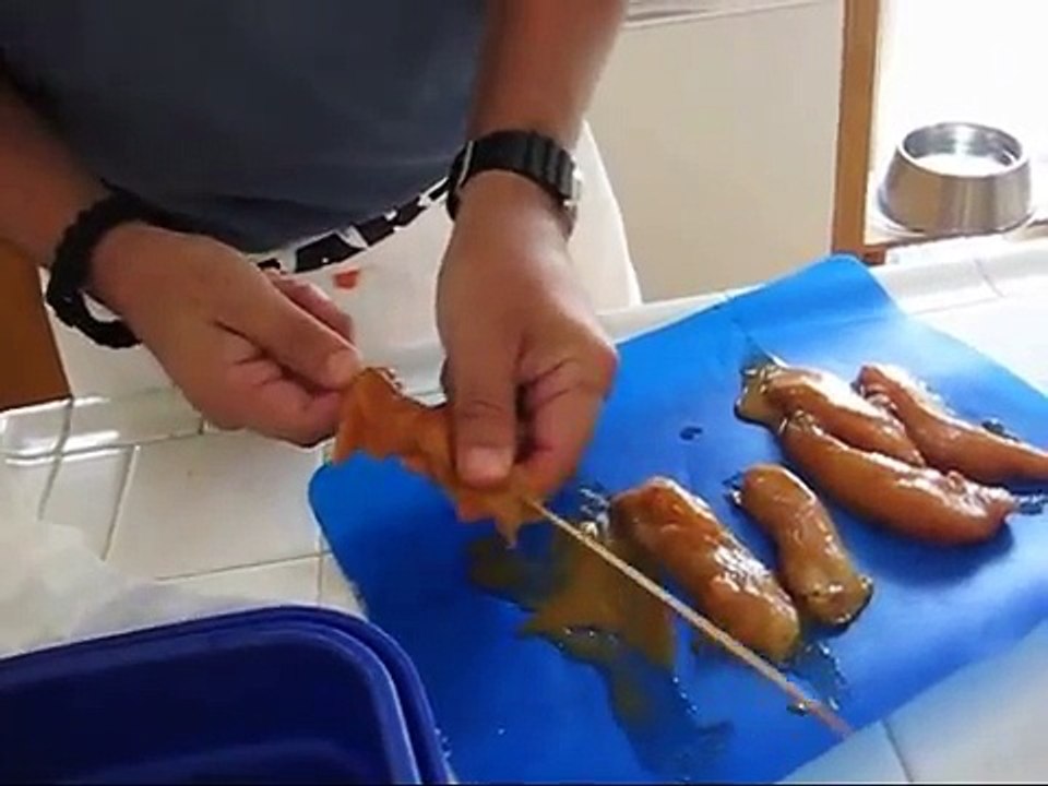 Hawaiian Barbecue!!
