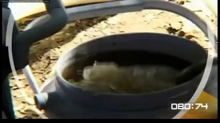 Cloud 9 NinE  Bad Drug !? INFO Report Horror Droge ! real Zombie style WTF ?Omg !