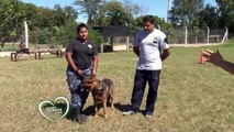 Amores Perros y Otros Amores - Policía de la Provincia de Córdoba, División K9