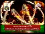 Surah Muzzammil - Glorious recitation by Syed Sadaqat Ali