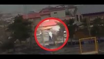 During Japan Tsunami a strange creature was caught on camera - real footage