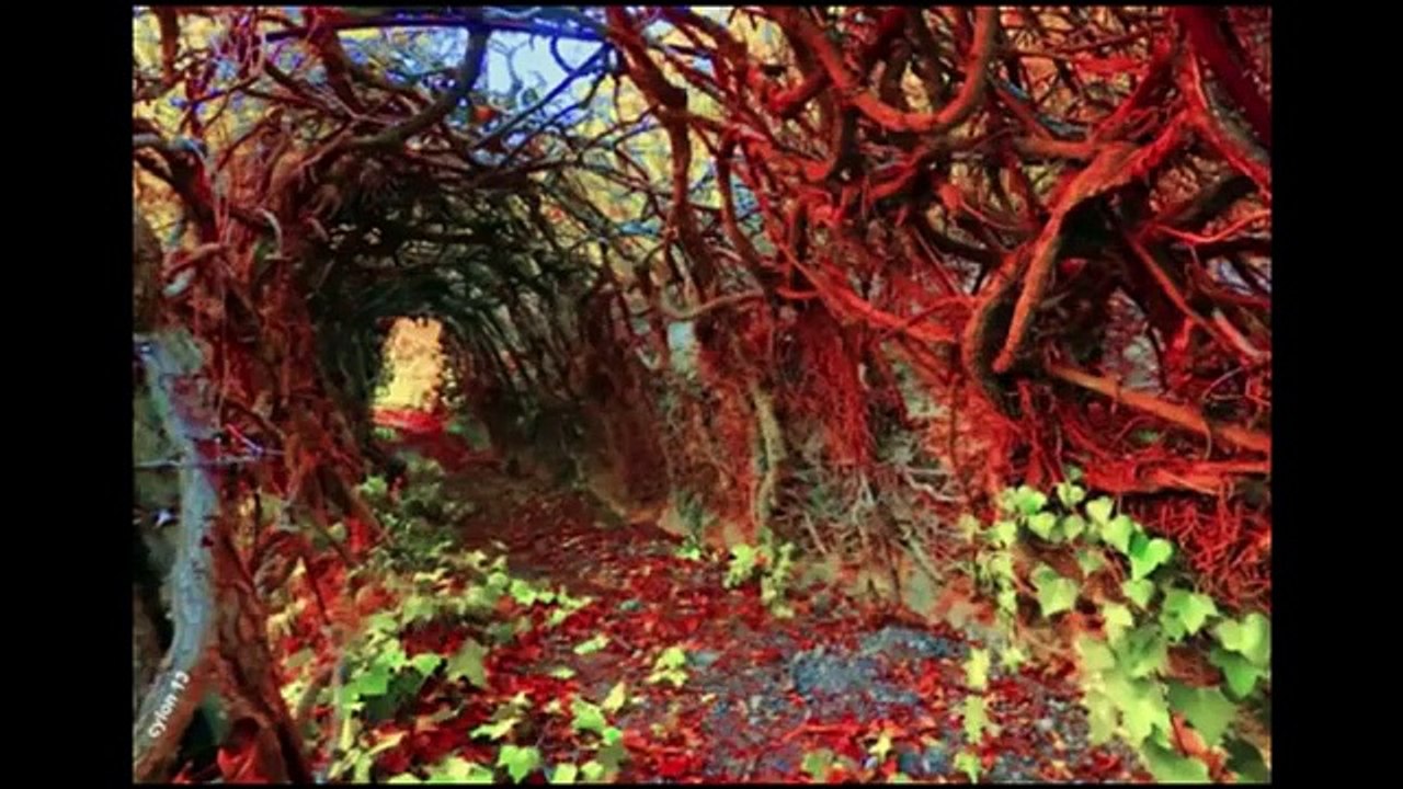 Richard Burton - The War of the Worlds