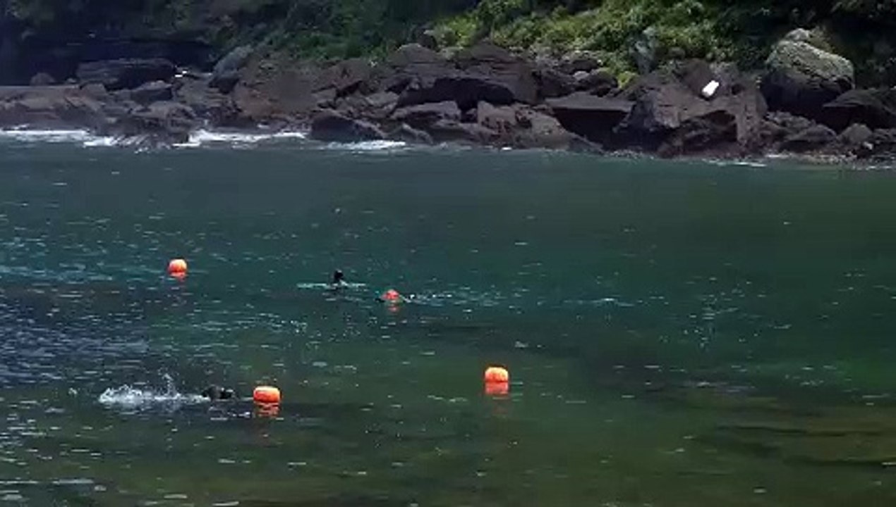 Divers