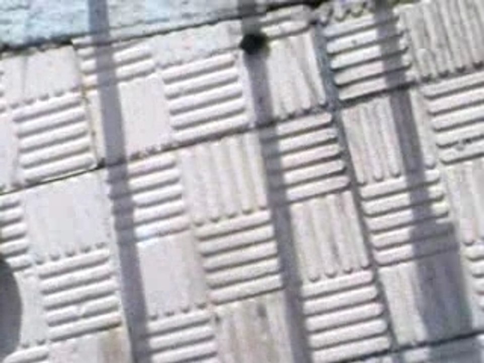 Délir