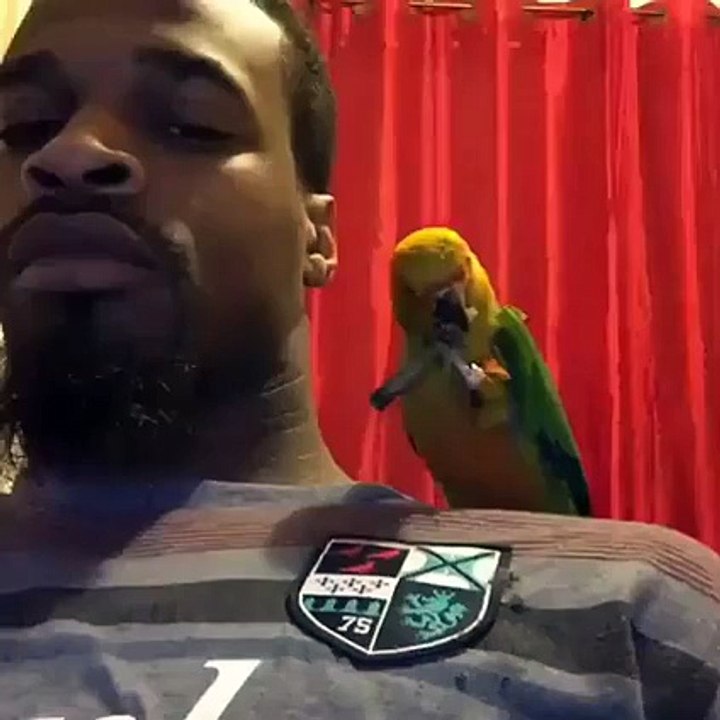 Man Smoke with his Bird