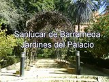 Sanlucar de Barrameda-Jardines del Palacio de Orleans