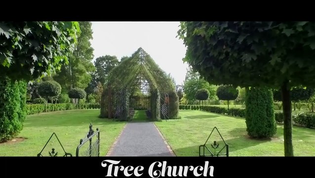 Il passe 4 ans à faire grandir et créer une église faites d'arbres - Nouvelle Zélande