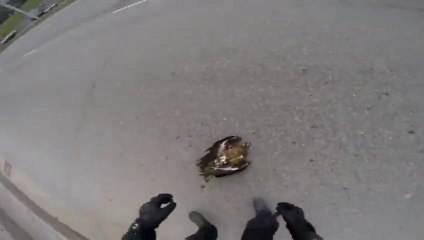 Motorcycle driver hit Falcon on highway and stop to pick him up