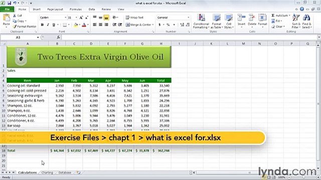 MS Excell Exploring three common uses for Excel