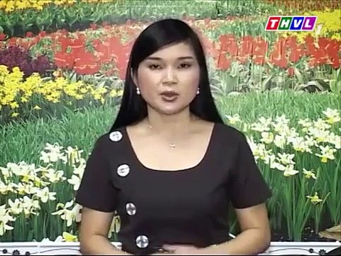 Soffell- Bệnh sốt xuất huyết- Những nguy hiểm luôn rình rập trẻ nhỏ