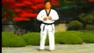 3. Taekwondo Poomsae Taegeuk Sam Jang (WTF)