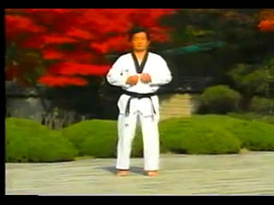 3. Taekwondo Poomsae Taegeuk Sam Jang (WTF)