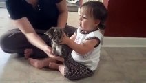 İlk kez yavru kedi gören bebek