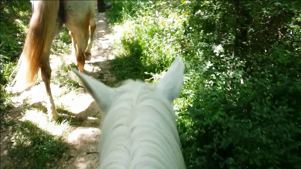 Balades à cheval dans le Tarn