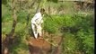 Environmental Efforts in Rural India