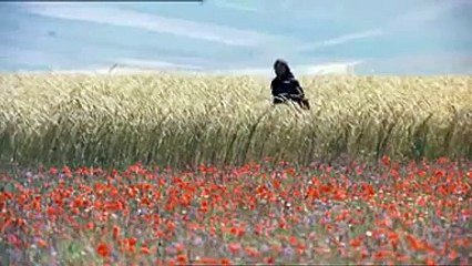 Hermano Sol, Hermana Luna 9 de 12