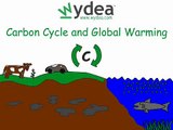 Carbon Cycle and Global Warming