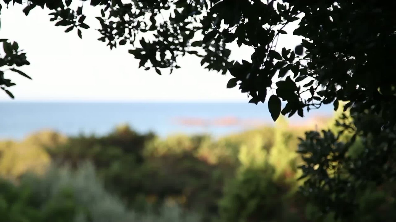 Murtoli, un paradis entre le ciel et l’eau
