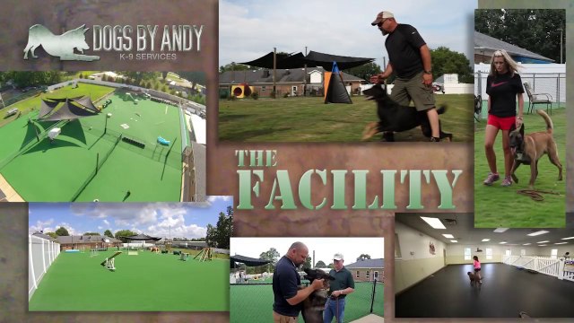 Custom Kennel Facility by Chad Goodin Signature Homes - Custom Homes Builder in Mooresville NC