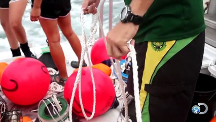 Austin Nichols is Scared For Sharks | Shark Week 2015