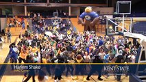 Kent State Alumni Association 2013 Year in Review