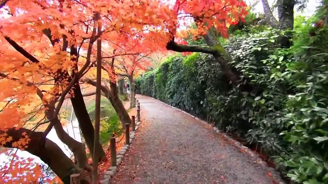 Ryoanji temple | The finest Zen garden
