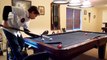 Matthew -The Stinger- Webber is a trick shot PRODIGY! Message me YOUR trick shots! Must Watch