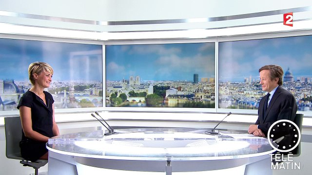 4 Vérités : la présidente de la SPA veut prévenir les abandons d'animaux pendant l'été