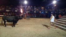 Il défie un taureau avec des cornes de feu...mauvaise idée!