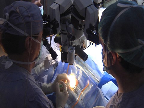 Oftalmólogos destacan el papel del láser de femtosegundos en cirugía ocular