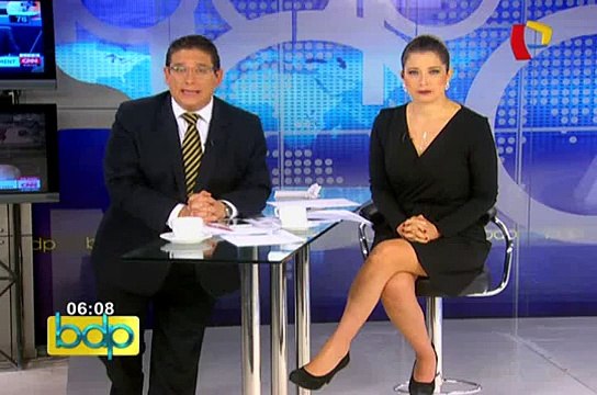 Chiclayo: autoridades rescatan 30 loros que eran transportados en bus interprovincial