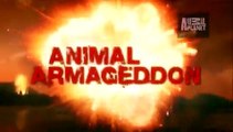 Animal Armageddon: The Mother Fish