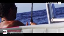 Marlin : une pêche au corps-à-corps