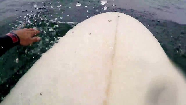Crazy Surfer filmed Great White Shark with GoPro in California