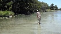 Devils River Fly Fishing for Carp with TFO 7wt BVK and Expedition Outfitters guide Harrison Nash