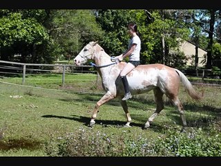 bareback fun in the sun