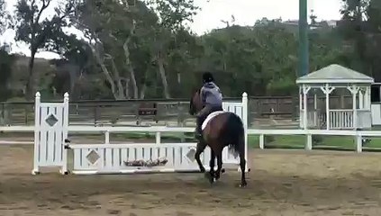 yess! OMG im alive! (: