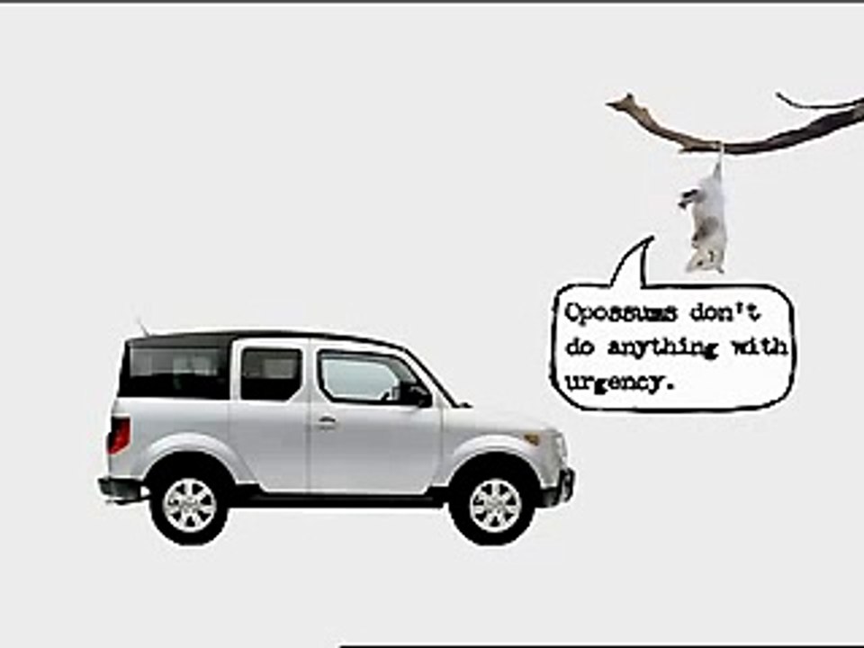 Honda Element and Friends - Opossum