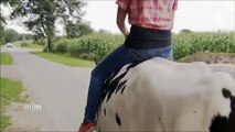 Mandy reitet auf einer Kuh!!!