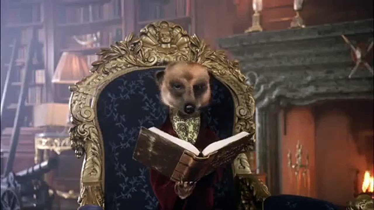 Compare the Market: Compare the Meerkat - Meerkat vs Mongoose