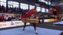 Xiao Qin on Pommel Horse, World Cup Gymnastics Cottbus, 2012
