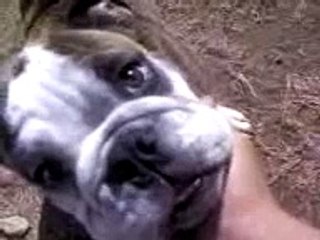 biggie smalls is the illest