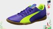 Puma evoSPEED 5.3 IT Jr Unisex-Kinder Hallenschuhe Violett (prism violet-fluro yellow-scuba