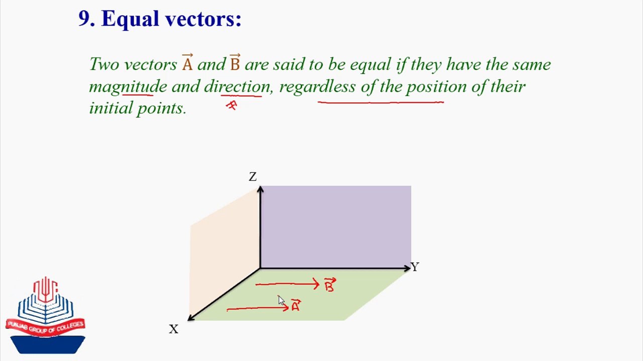 Equal Vector