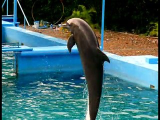 80's New Wave Rock Vibe 🎸