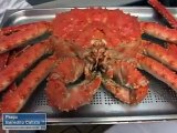 Aprenda a fazer, KING CRAB O MAIOR CARANGUEJO DO MUNDO