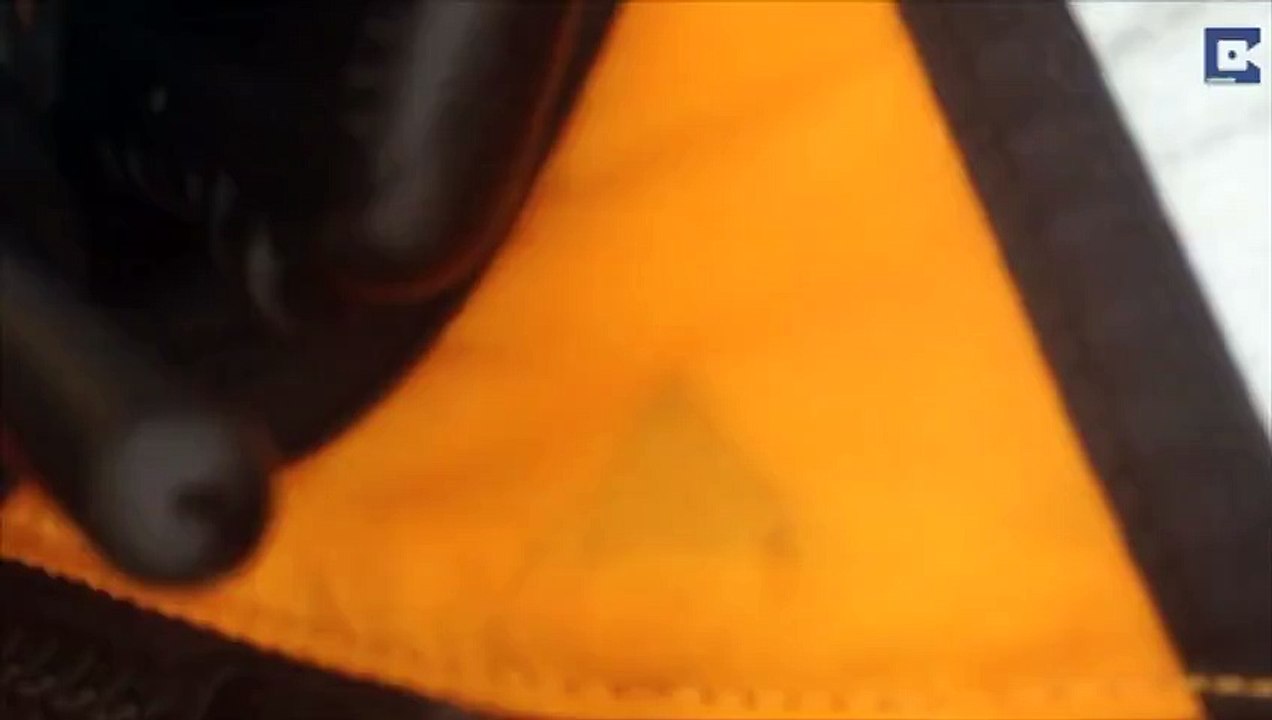 Renversés en kayak par un troupeau de baleines