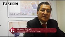 Bachillerato no sería automático para quienes ingresaron antes de nueva Ley Universitaria